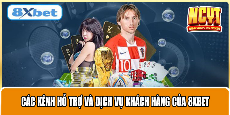 Các kênh hỗ trợ và dịch vụ khách hàng của 8xbet