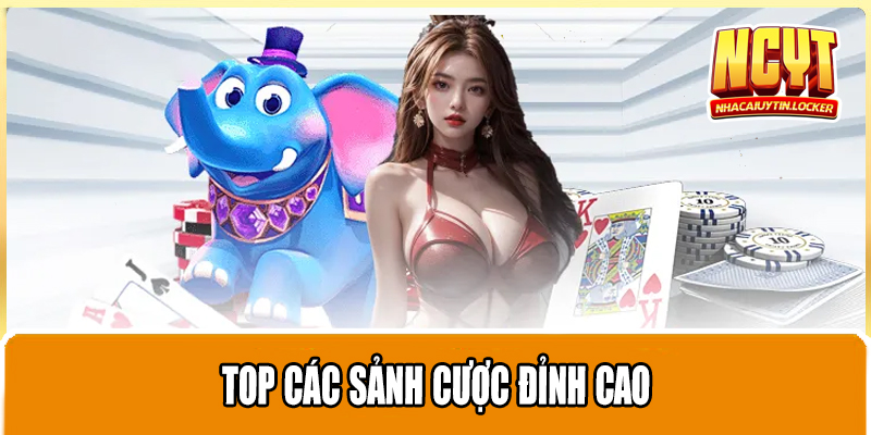 Top các sảnh cược đỉnh cao